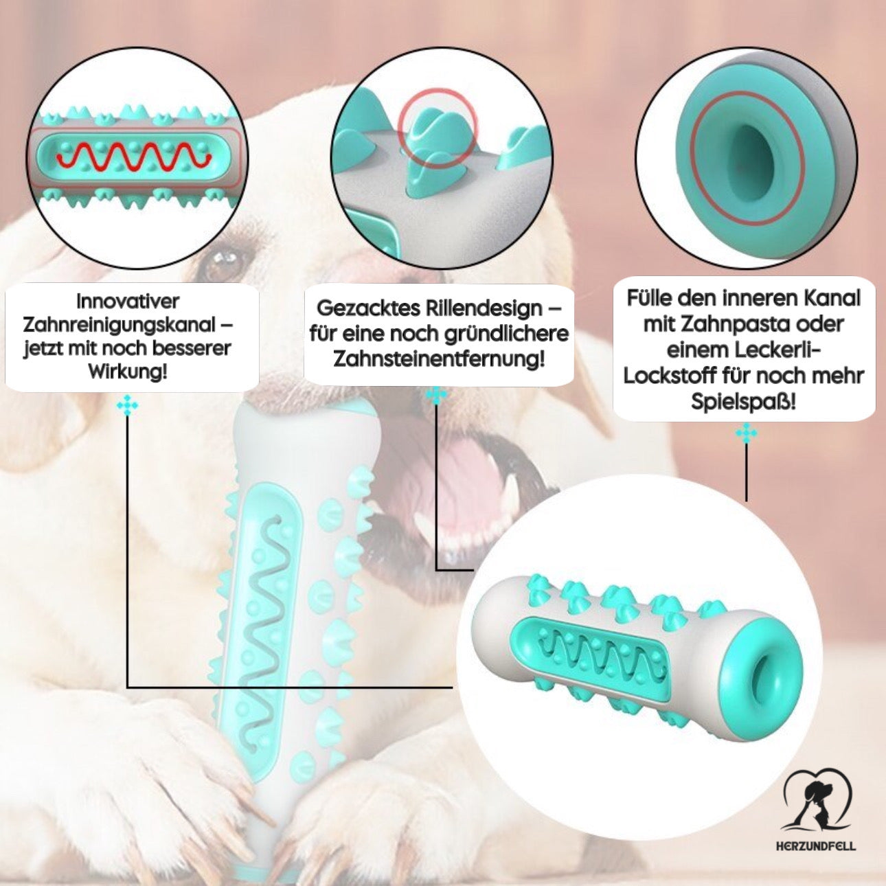 Herzundfell® ZahnTastisch