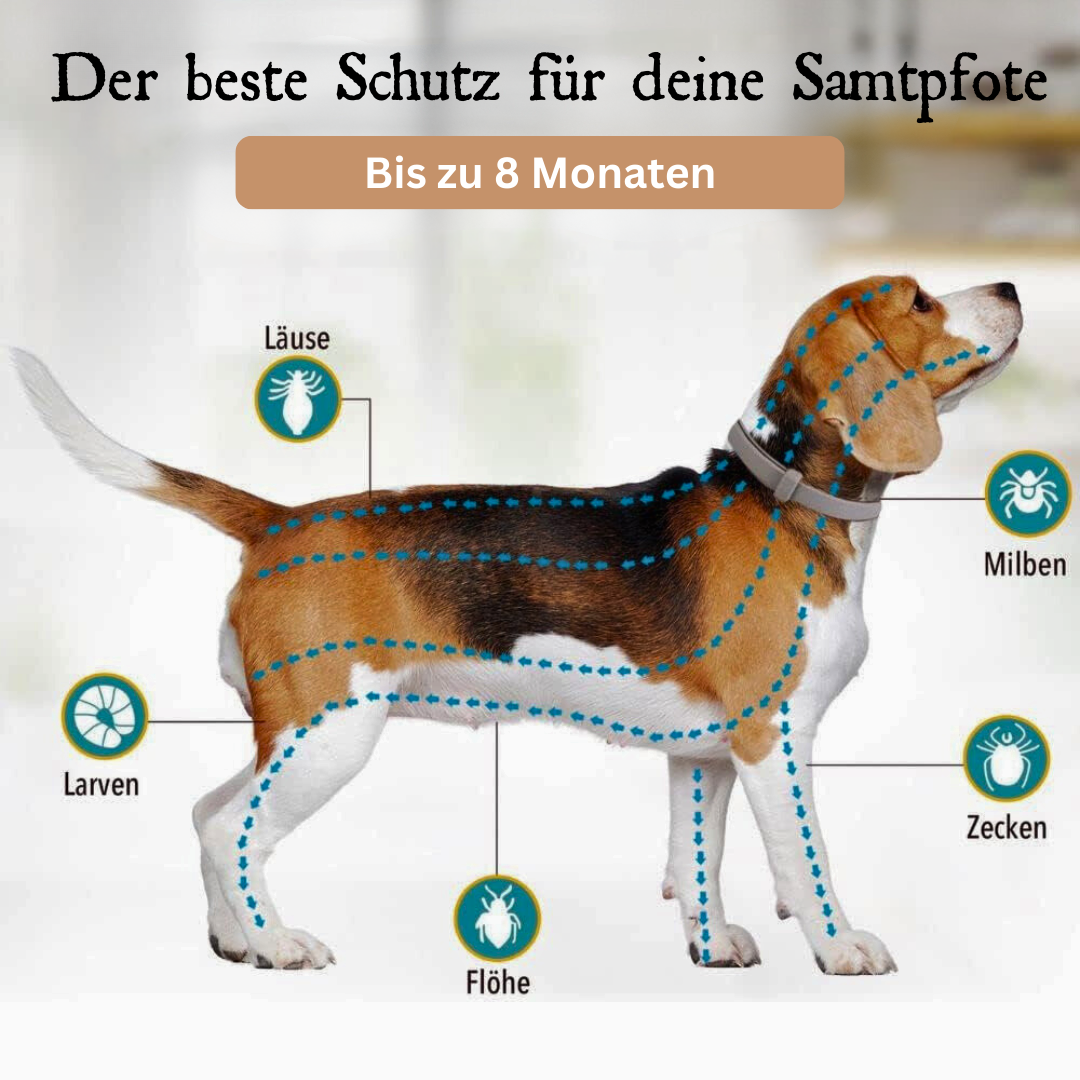 Herzundfell® ZeckenBlocker