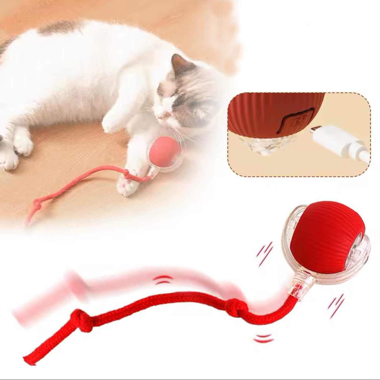 Herzundfell® SamtpfotenJäger