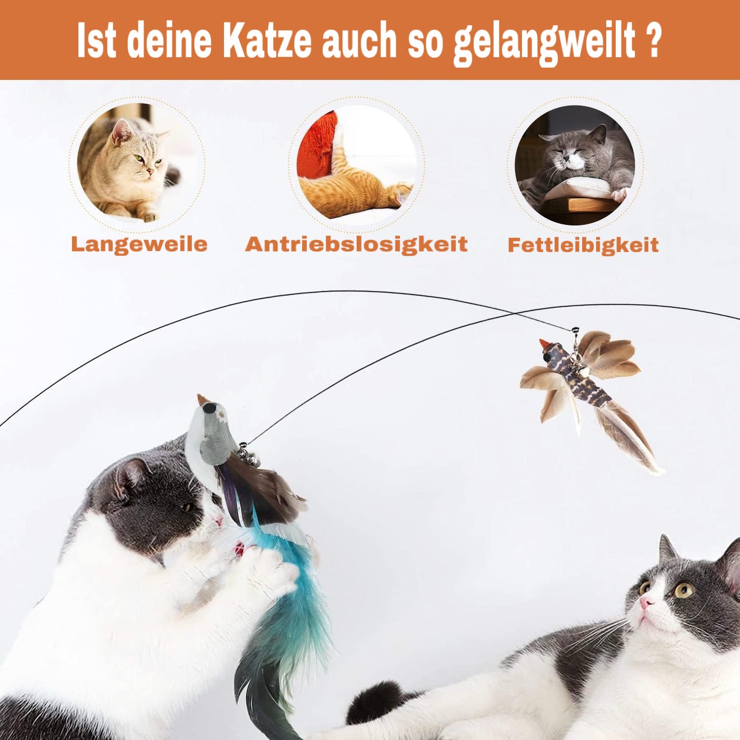 Herzundfell® Vogelsimulation