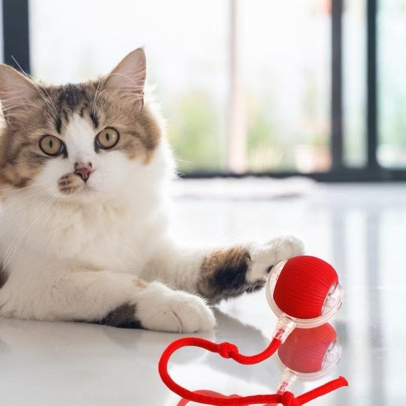 Herzundfell® SamtpfotenJäger