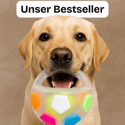 Herzundfell® WohlfühlBall